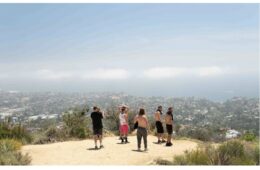 Screenshot 2023 11 09 at 10.28.31 AM